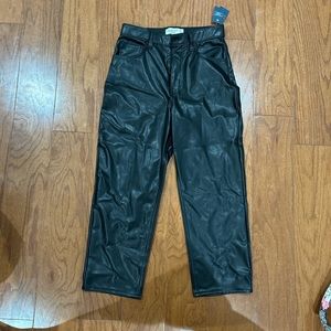 Abercrombie and Fitch leather plants